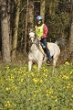 Seacliffe 2* Endurance Ride