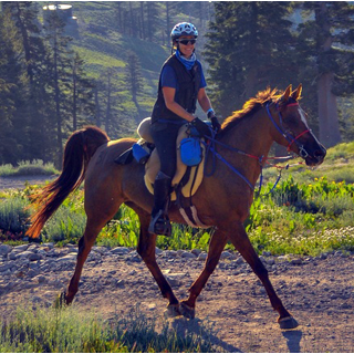 ZA Marengo Wins FEI 1* at Haywood Oaks