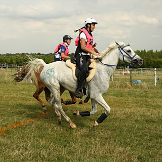 Barbury Castle GB FEI 2* 120 kms 9/8/2014