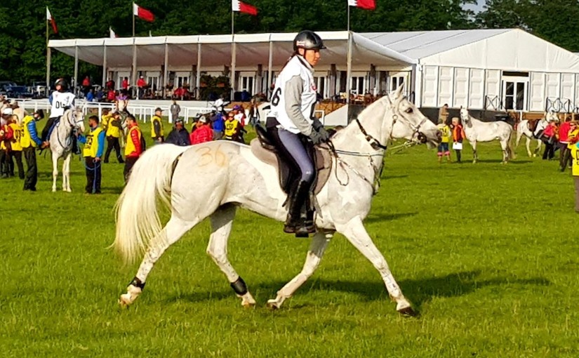 LM Crazy Girl completes at Royal Windsor 2018