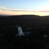 Akala in Scotland