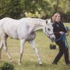 Thetford Forest Endurance