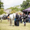 Thetford Forest Endurance