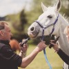 Thetford Forest Endurance