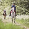 Thetford Forest Endurance