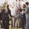 Thetford Forest Endurance