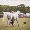 Thetford Forest Endurance