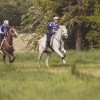 Thetford Forest Endurance