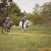 Thetford Forest Endurance