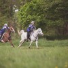 Thetford Forest Endurance