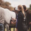 Thetford Forest Endurance