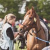 Windows Horse Show Endurance