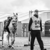 Windows Horse Show Endurance