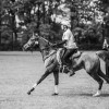 Windows Horse Show Endurance