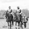 Windows Horse Show Endurance