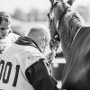 Windows Horse Show Endurance