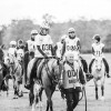 Windows Horse Show Endurance