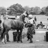 Windows Horse Show Endurance