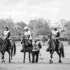 Windows Horse Show Endurance