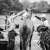 Windows Horse Show Endurance