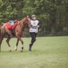 Windows Horse Show Endurance