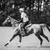 Windows Horse Show Endurance