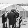 Windows Horse Show Endurance