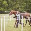 Windows Horse Show Endurance