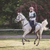 Windows Horse Show Endurance