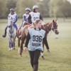 Windows Horse Show Endurance