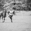 Windows Horse Show Endurance