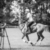 Windows Horse Show Endurance