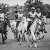 Windows Horse Show Endurance