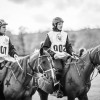 Windows Horse Show Endurance