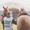 Windows Horse Show Endurance