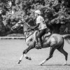 Windows Horse Show Endurance