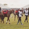 Windows Horse Show Endurance