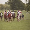 Windows Horse Show Endurance