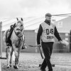 Windows Horse Show Endurance