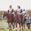 Windows Horse Show Endurance