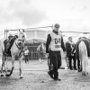 Windows Horse Show Endurance