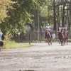 Windows Horse Show Endurance