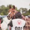 Windows Horse Show Endurance