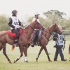 Windows Horse Show Endurance