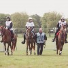 Windows Horse Show Endurance