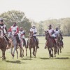 Windows Horse Show Endurance