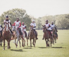 Windows Horse Show Endurance