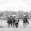 Windows Horse Show Endurance