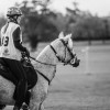 Windows Horse Show Endurance